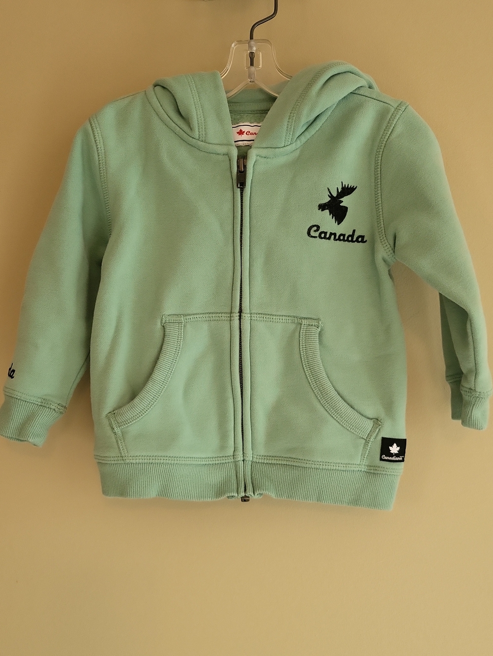 Canadiana mint green zip up hoodie